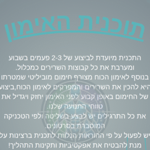 תכנית חדר כושר פול בודי