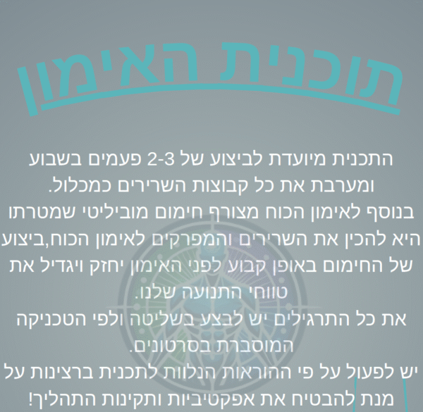 תכנית חדר כושר פול בודי