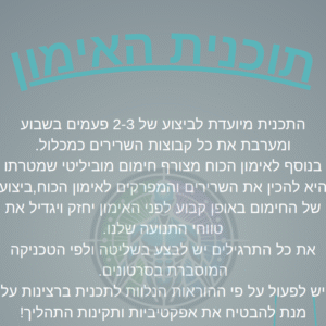תכנית פול בודי בפארק - רמה 1